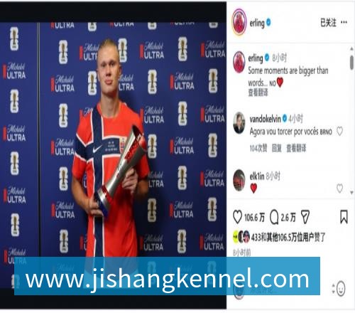 罗马欧冠抽签曝光!穆里尼奥恩里克成对手,卢卡库留守土超